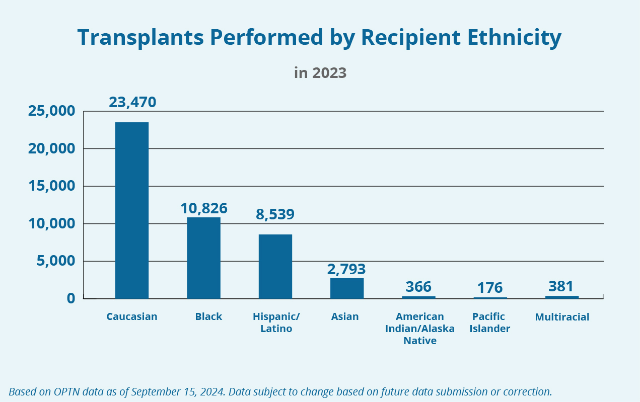 Graph of transplants performed by recipient ethnicity from September 2024