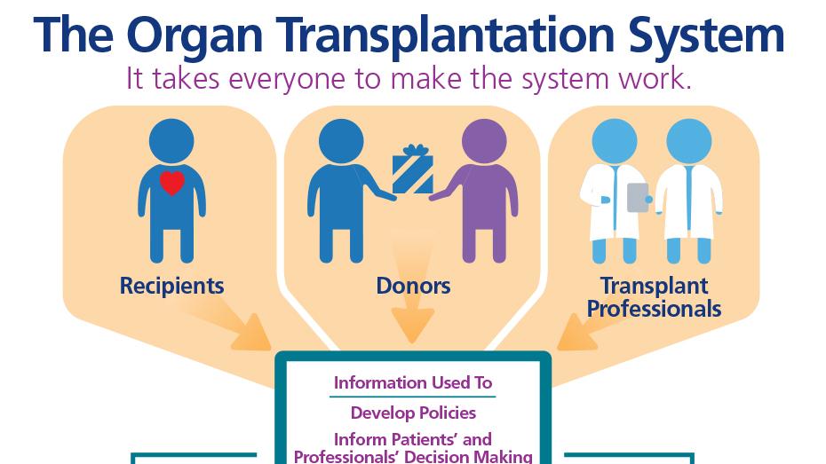Organ Donation and Transplantation How Does It Work? organdonor.gov